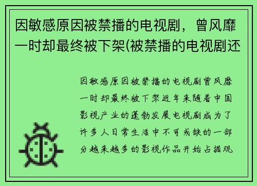 因敏感原因被禁播的电视剧，曾风靡一时却最终被下架(被禁播的电视剧还有版权吗)